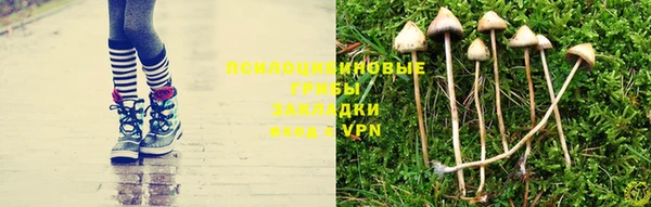 эйфоретик Заволжье