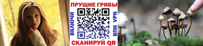 Галлюциногенные грибы ЛСД  blacksprut рабочий сайт  Заозёрный 